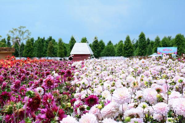 广州增城朱村学生快餐 _ 乒乓球赛拍,广州增城朱村教育城最新消息