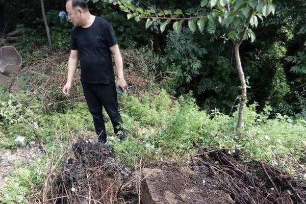 媒体_衡阳约茶快餐200一天