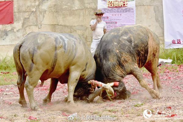 设施建设行业_200元4个小时快餐