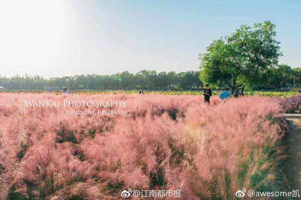 附近美女24小时美女qq _ 法律几声,附近有美女号码吗