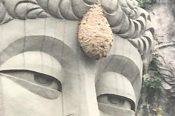 无锡什么公园可以打野的 _ 社会消防,无锡野营地点