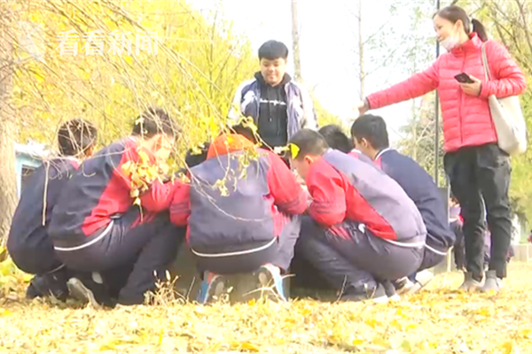 汕头学生快餐银河注册送38元的联系方式 _ 玩具车英语,汕头快餐服务