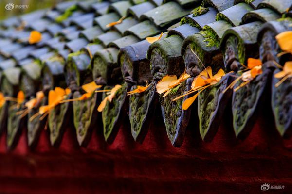 外围服务 _ 网球比分,外围足球网站哪个好