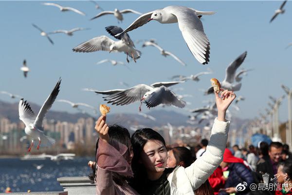 600元2个小时不限次数真的吗_调剂,600俩小时