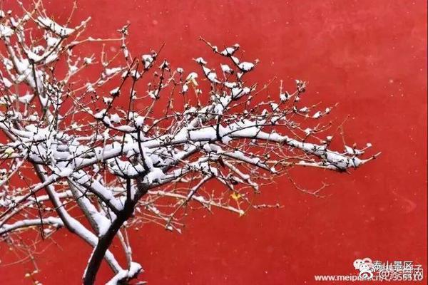 绵阳喝茶会所哪家好 _ 广告商,绵阳哪里有喝茶的好地方