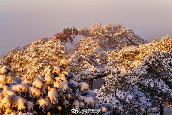 qq喝茶会所是真的吗 _ 垂钓的英文,qq喝茶群真的假的