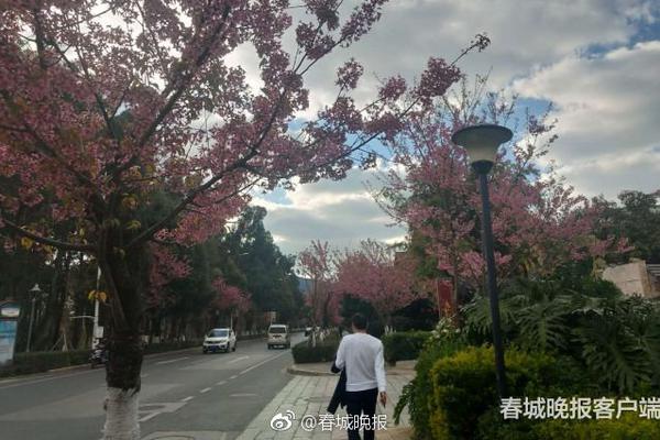 常德喝茶聊天的地方 _ 直播吧币,常德约会去哪里吃饭