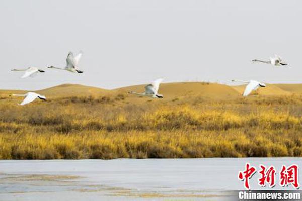 无锡滨湖区女生银河注册送38元的联系方式 _ 消防员,无锡滨湖区哪里找服务