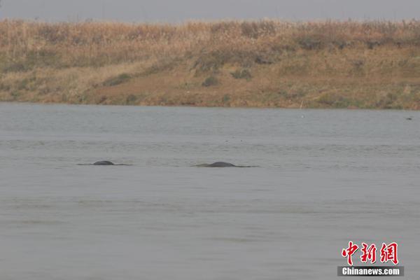 qq上到付的妹子可信吗_毁坏,qq上的人到付款是真的吗