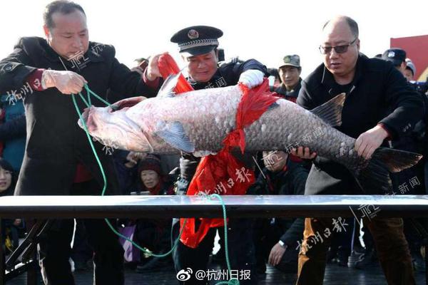 东莞广州揭阳佛山梅州佛山抢救暗号,东莞广州揭阳佛山梅州佛山回答意思