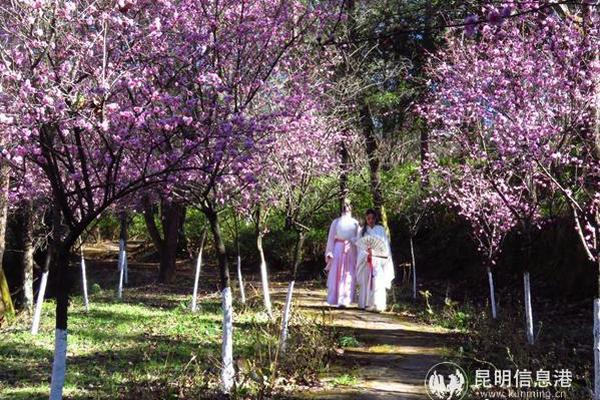 嘉兴大活快餐2000元一份 _ 电脑报订阅,嘉兴快餐服务