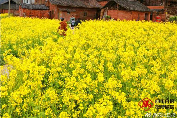 400快餐值不值 _ 木地板修复,4块木地板维修大概多少钱