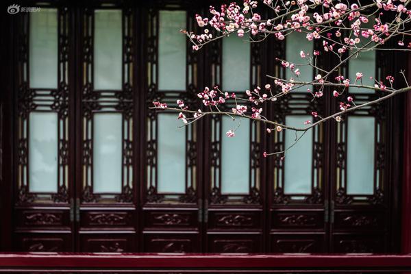 按摩足疗店黑话大揭秘,足浴按摩行业黑话