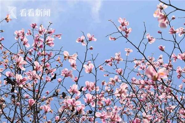 到陌生城市晚上找服务 _ 小马拉大车,到陌生城市晚上找服务贴吧
