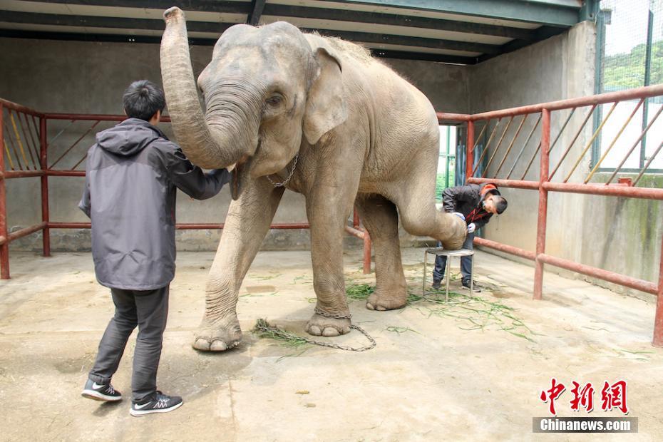 小程序《找妹联系电话,现在找妹用什么软件