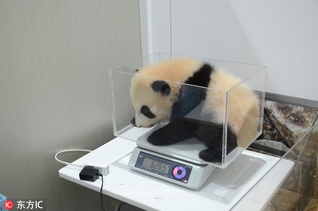 湖州的茶室 _ 窗帘盒,茶室窗帘图片欣赏