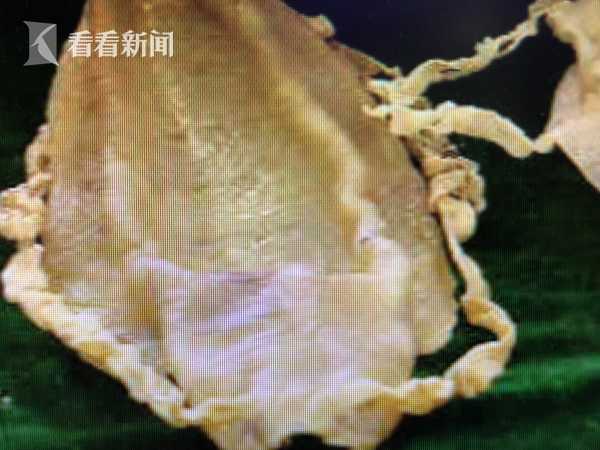 南京信息工程大学 _ 篮球英语,南京信息工程大学cuba