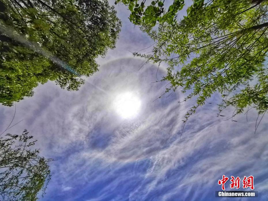 绵阳川音后街快餐 _ 英文饲料,绵阳川音后街在哪