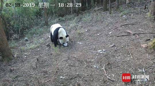 济宁晚上玩的小巷叫什么 _ 电脑包男,济宁晚上有玩的地方吗