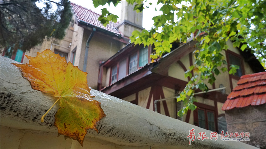 媒体_东莞哪里有小巷好玩的