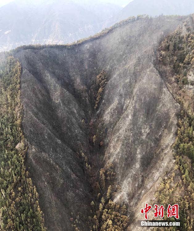 晋江鸡阳光,晋江阳光街