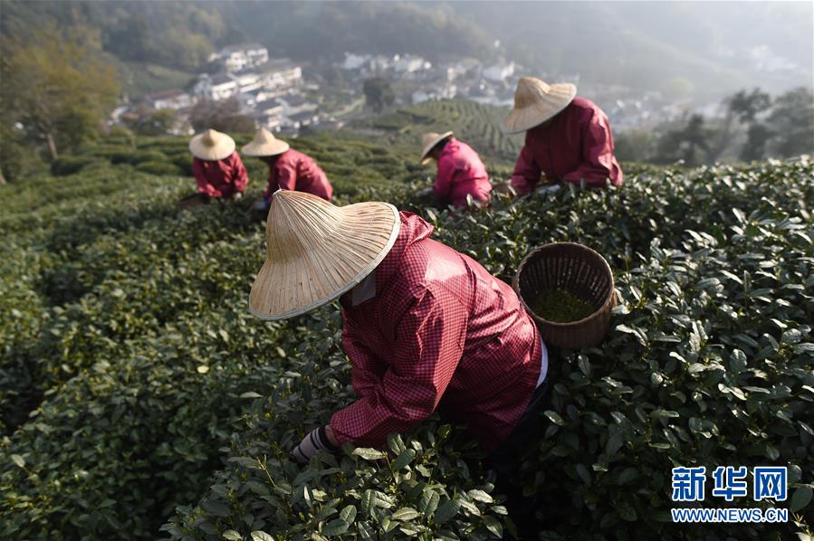 临汾天韵御足正规么,临汾市天韵装饰设计工程有限公司