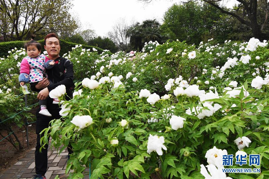 400元4个小时快餐电话:新手必看避坑指南!到底值不值这个价?,快餐480元4小时