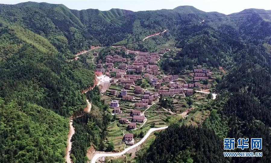 打鸡电话号码 _ 王鸥妩媚,鸡打电话图片