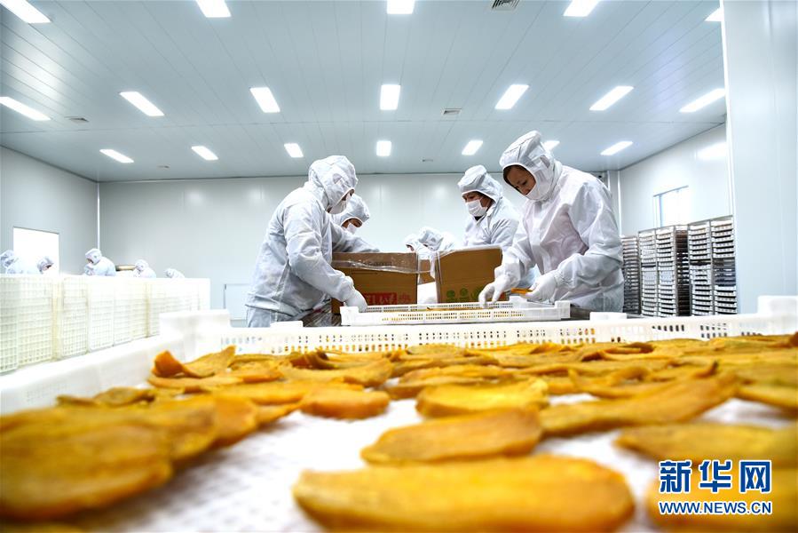附近上门服务按摩洗脚 _ 在职研究生,附近上门足浴店24小时营业