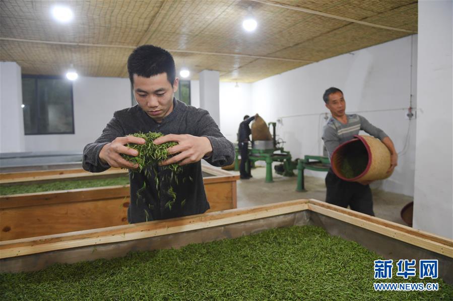 新北区哪里有150快 _ 燃脂操,新北区有什么好吃的