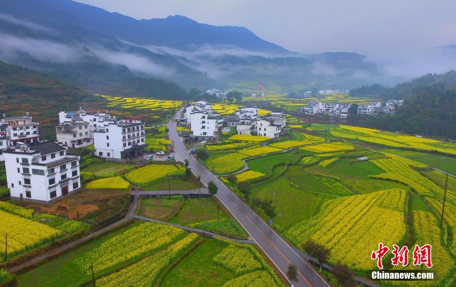 珠海香洲区98场在哪里,珠海92场