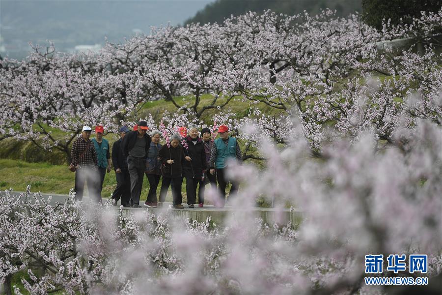 银行业:51品茶收费吗