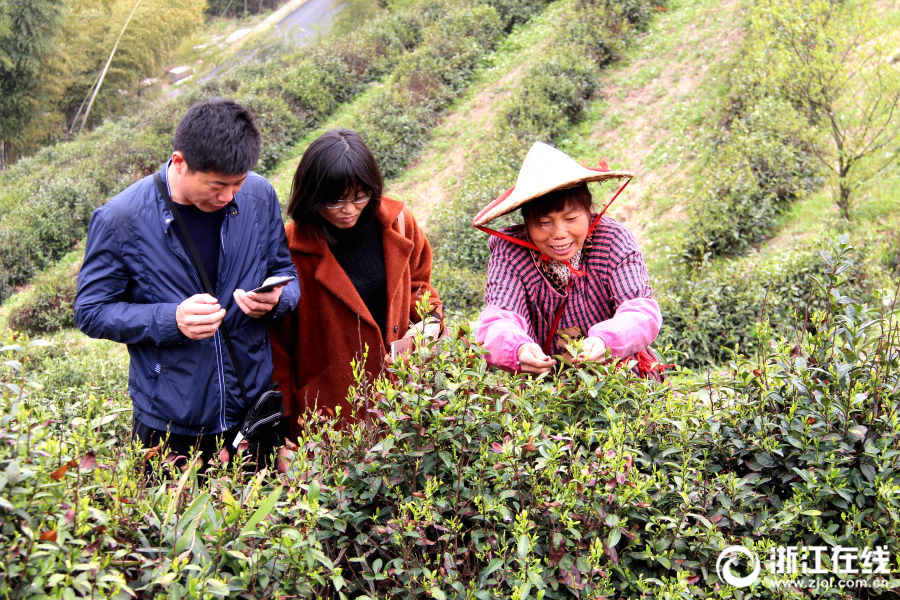 东郊到家贴吧,东郊到家贴吧广州