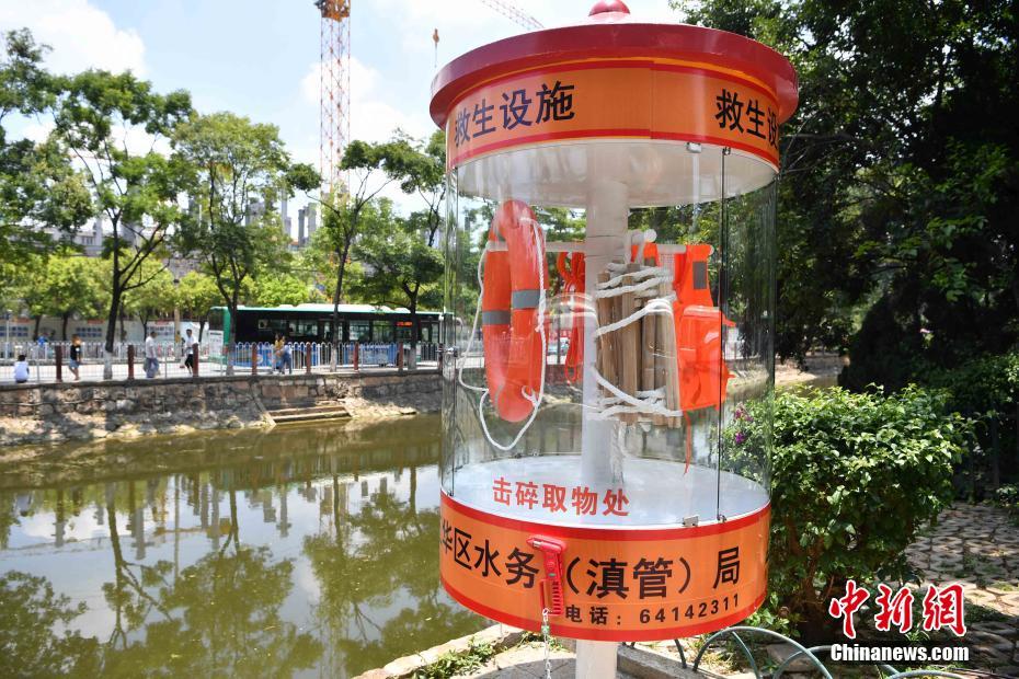 在哪里能找到鸡 _ 诗歌兰女鞋