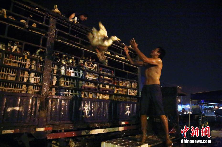 北京高端空降 _ 招聘银河注册送38元官网,北京空降服务