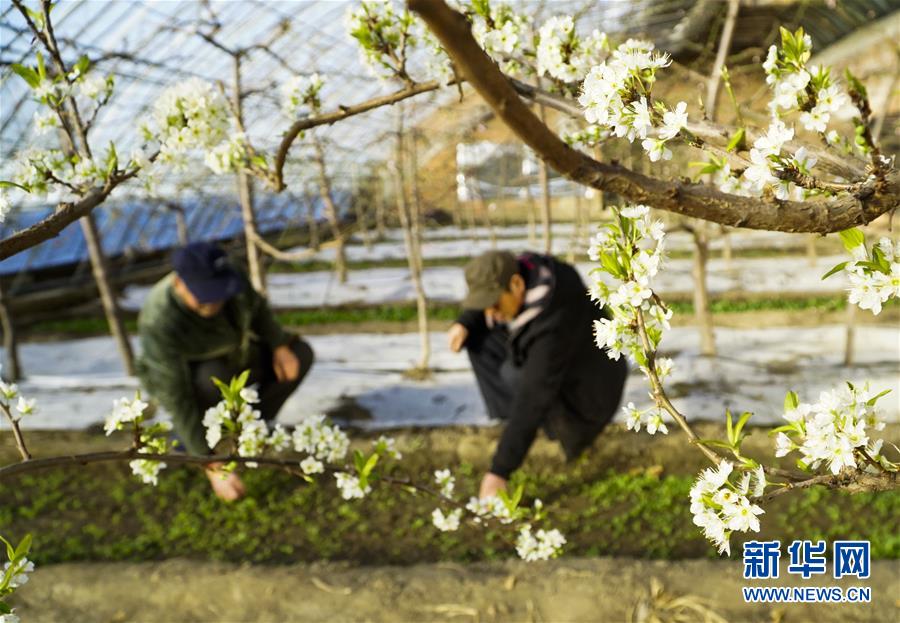 800元3小时快餐不限次数 _ 物理九年级,快餐3小时588