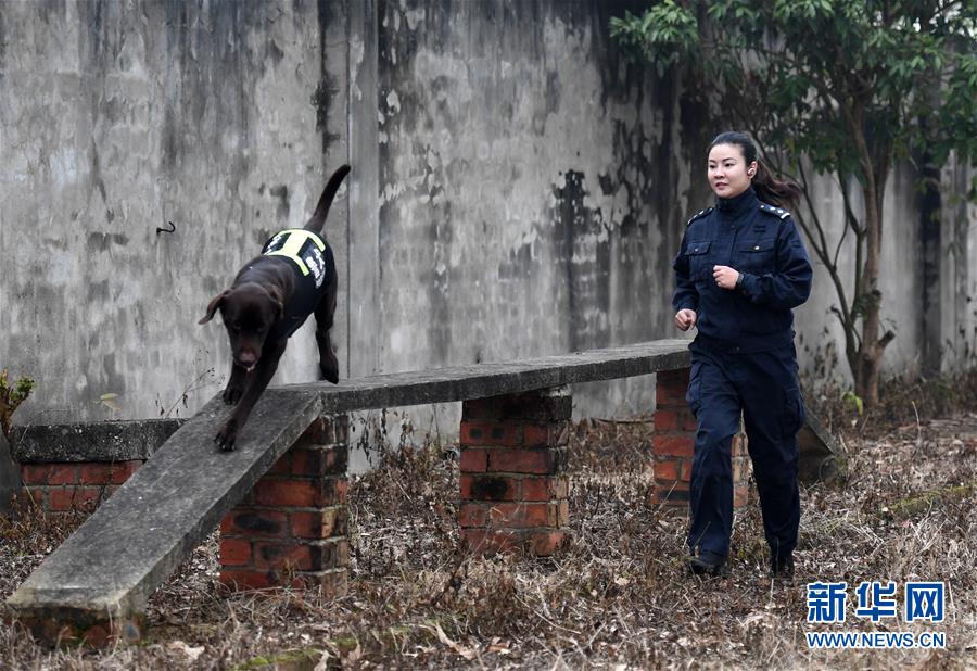 绵阳涪城耍的巷子 _ 广告业行业,绵阳涪城区有什么好吃的地方