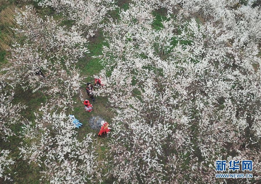 扬州妹子的价位,到底多少才不算被坑,扬州美女在哪里