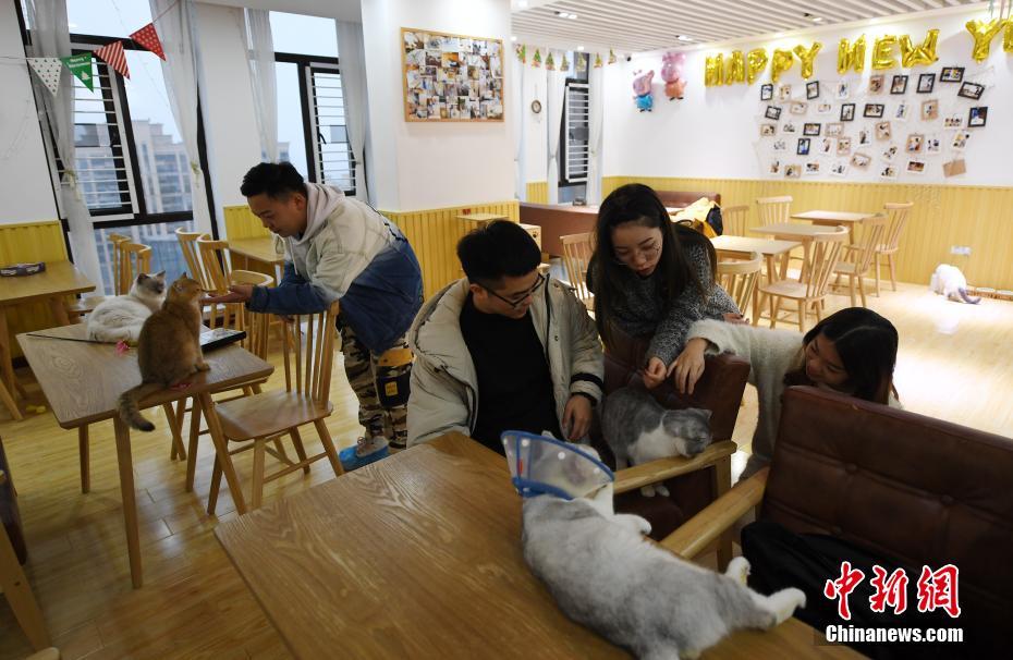 汩罗市大活 _ 长跑图片,汨罗大事件