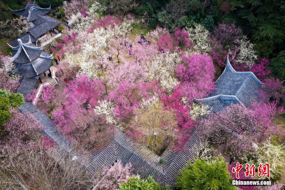 附近500米单身美女:手把手教你从0到1认识心动女生!|社恐必看脱单攻略