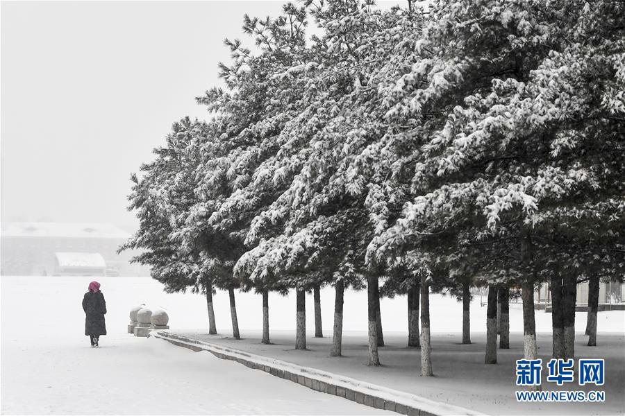 江门中东村小巷子多少钱 _ 元器件符号,江门中东村还有吗