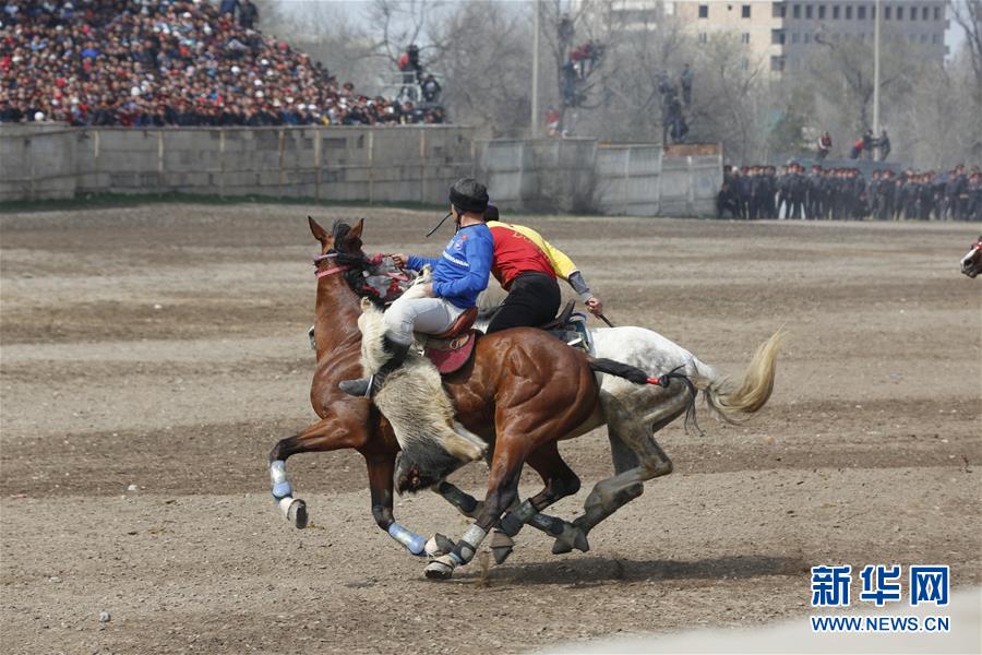鞍山约 _ 货架批发,鞍山大型批发市场