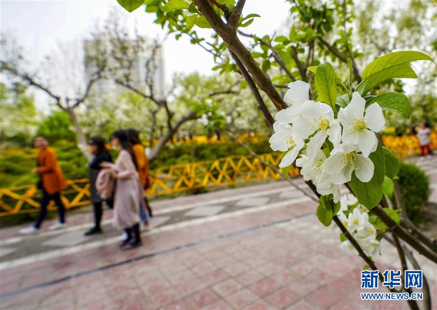 体育运动_奉贤拓林小巷子爱情