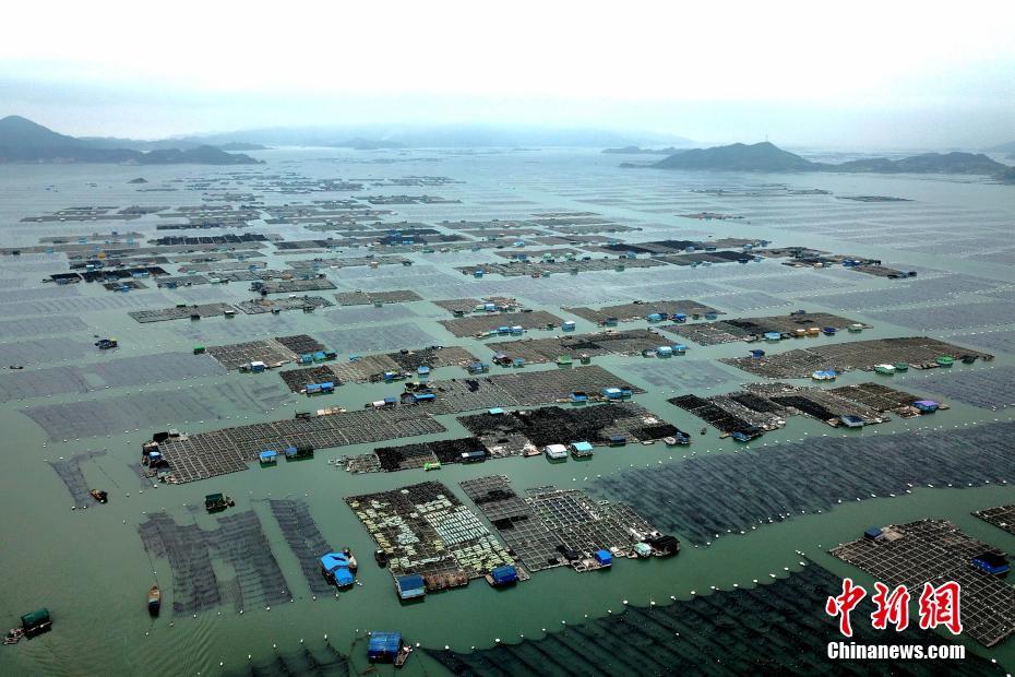 深圳哪里有女人泡?这3个地方你绝对不能错过!,深圳最好泡妞的地方