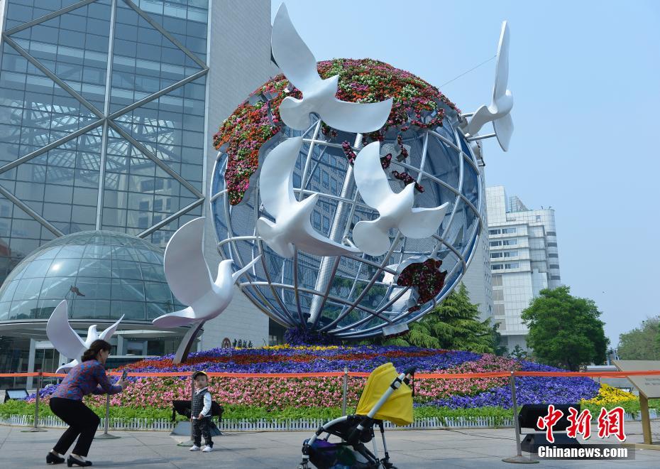 司机:500元快餐不限次数二维码
